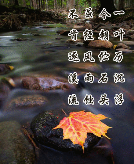 һҶʯͷ.jpg