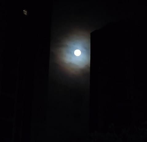 ��ҹ_20220812070105.jpg