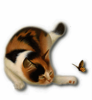 M1_����.gif