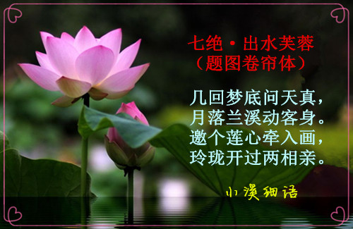 4d2d867fd5a75b57ecb777989570fa67_����.jpg
