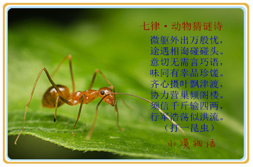 24f8b18b926fc2f45be0761041590cd2_����.jpg