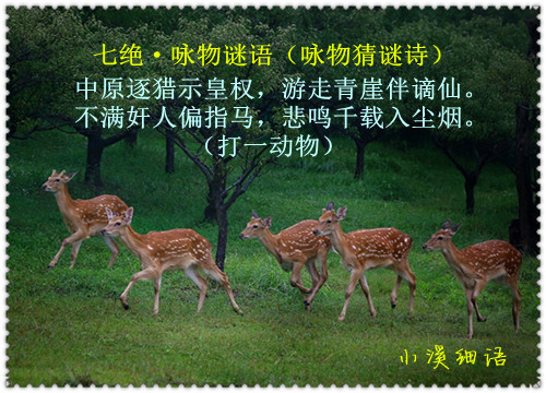 bef533c977ddf3a5cafe8f2cb562ee5a_����.jpg
